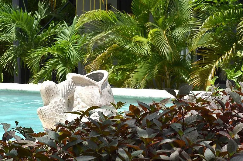 ***  Hotel Barronegro (Adults Only) Tulum Mexiko